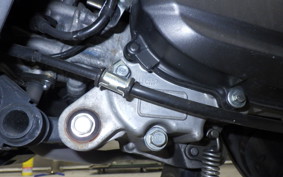 HONDA TACT-4ﾍﾞｰｼｯｸ 2024 AF79