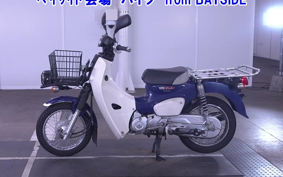 OTHER C110PU LOW 3