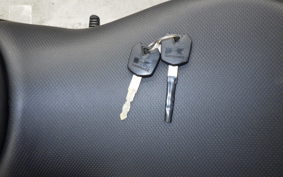 KAWASAKI Z250 SL BR250E