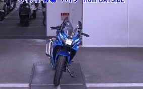 OTHER GSX250 R