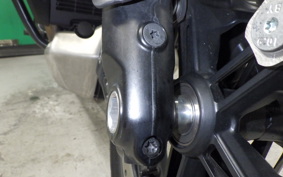 HARLEY ﾊﾟﾝ AMERICA1250S 2021