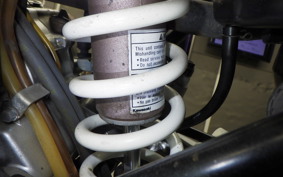 KAWASAKI KLX250 2024 LX250E