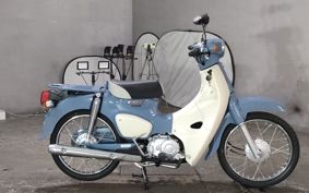 HONDA SUPER CUB50 AA09