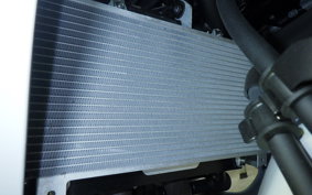 KAWASAKI NINJA 650 A 2025 ER650S