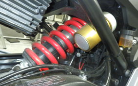 BMW F900XR 2024