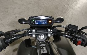 YAMAHA FZS25 RG66