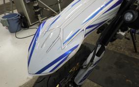 YAMAHA WR250X DG15J