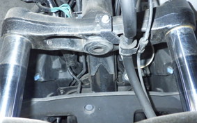 HONDA FORZA 250 2022 MF13