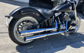HARLEY  HARLEY FLS 2019 JRV