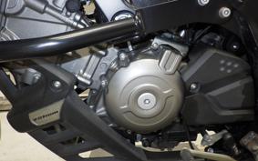 SUZUKI DL650 ( V-Strom 650 ) A 2019 C733A