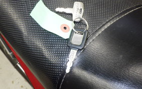 KAWASAKI GPZ550 2024 ZX550A