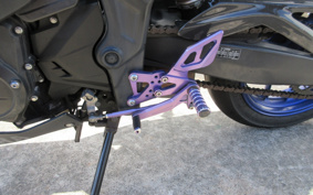 YAMAHA YZF-R25 RG10J