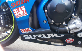 SUZUKI GSX-R1000R ABS 2018 DM11G