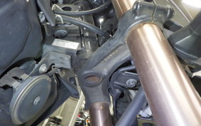 KAWASAKI Z125 PRO BR125H