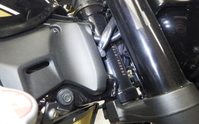 KAWASAKI Z900RS 2022 ZR900K