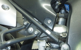 YAMAHA WR250X DG15J