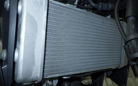 HONDA CB250RA 2021 MC52