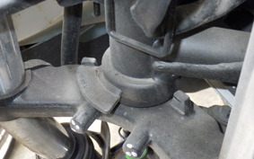 KAWASAKI NINJA 250