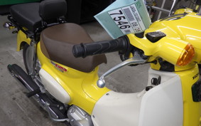 HONDA C110 SUPER CUB JA59