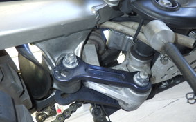KAWASAKI KLX250D TRACKER X