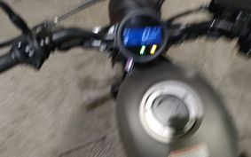HONDA REBEL MC49