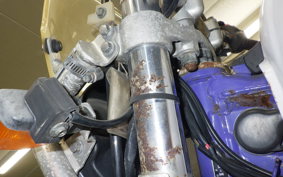YAMAHA TT250R RAID 2024 4GY