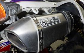 SUZUKI DJEBEL 250 XC 2008 SJ45A
