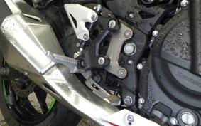 KAWASAKI NINJA 250 2 2019 EX250P