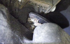 SUZUKI ADDRESS 110 CE47A