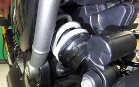 TRIUMPH SPEED 400 2024