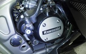 KAWASAKI NINJA150RR 2019