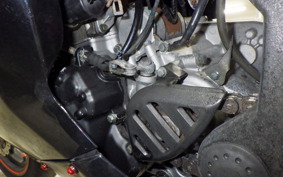 OTHER +ﾒｶﾞﾘ250R 2023