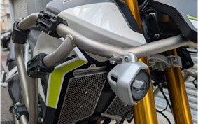 TRIUMPH TIGER 900 RALLY PRO 2024 TRE67D