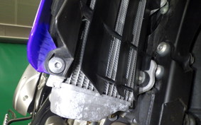 YAMAHA WR250X 2018 DG15J