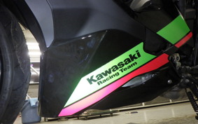 KAWASAKI ZX-25R 2024 ZX250E