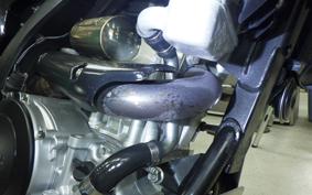 YAMAHA WR250X DG15J