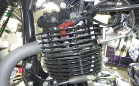 OTHER +UNREGISTERED MODEL by BDS250