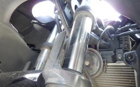 KAWASAKI NINJA 250R 2024 EX250K
