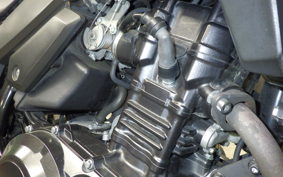 SUZUKI V-STROM 250