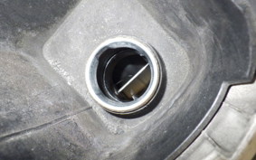 YAMAHA MAXAM 250 SG21J