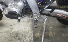 YAMAHA WR250R 2008 DG15J