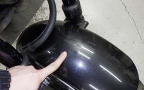 HONDA REBEL 1100 DCT 2021 SC83