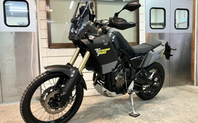 YAMAHA TENERE 700 2020 DM09J