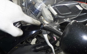 YAMAHA FZR250 Gen.2 R 2004 3LN
