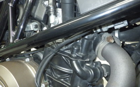 HUSQVARNA VITPILEN 701 2020