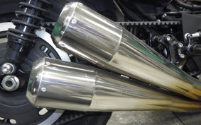 OTHER +HD. XL1200X 2010