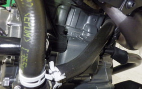 KTM 250 DUKE 2025