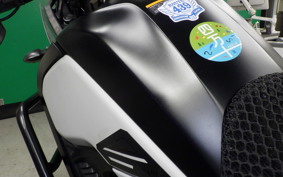 YAMAHA TENERE 700 2020 DM09J