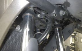 KAWASAKI VERSYS-X 250 A 2024 LE250D