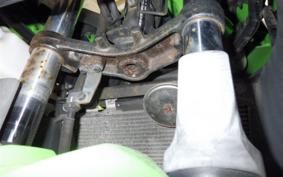 KAWASAKI NINJA 250 EX250L